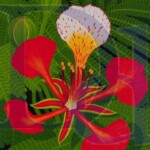 Poinciana | SOLD | 24" x 30"