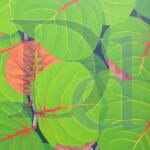 Under the Bay Grape | Not Available | 40" x 32"