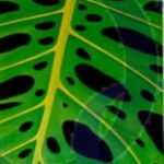 Locust & Wild Honey | SOLD | 21" x 42"